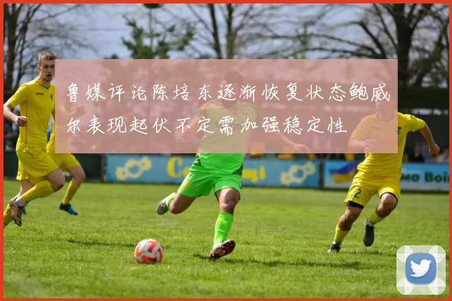 鲁媒评论陈培东逐渐恢复状态鲍威尔表现起伏不定需加强稳定性