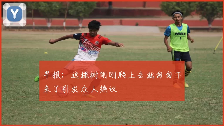 早报：这棵树刚刚爬上去就匆匆下来了引发众人热议